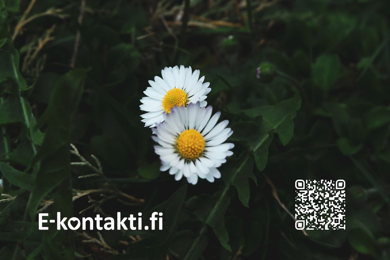 Rakkaus ei katso ikää