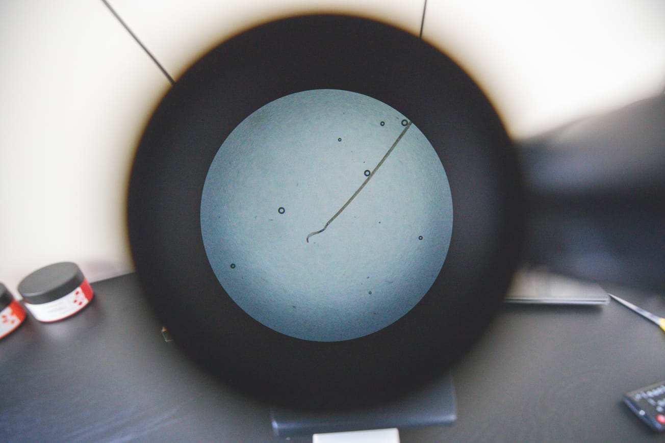 Uuden vuoden hyvinvointilupausten yhteydessä  kannattaa muistaa myös hiukset