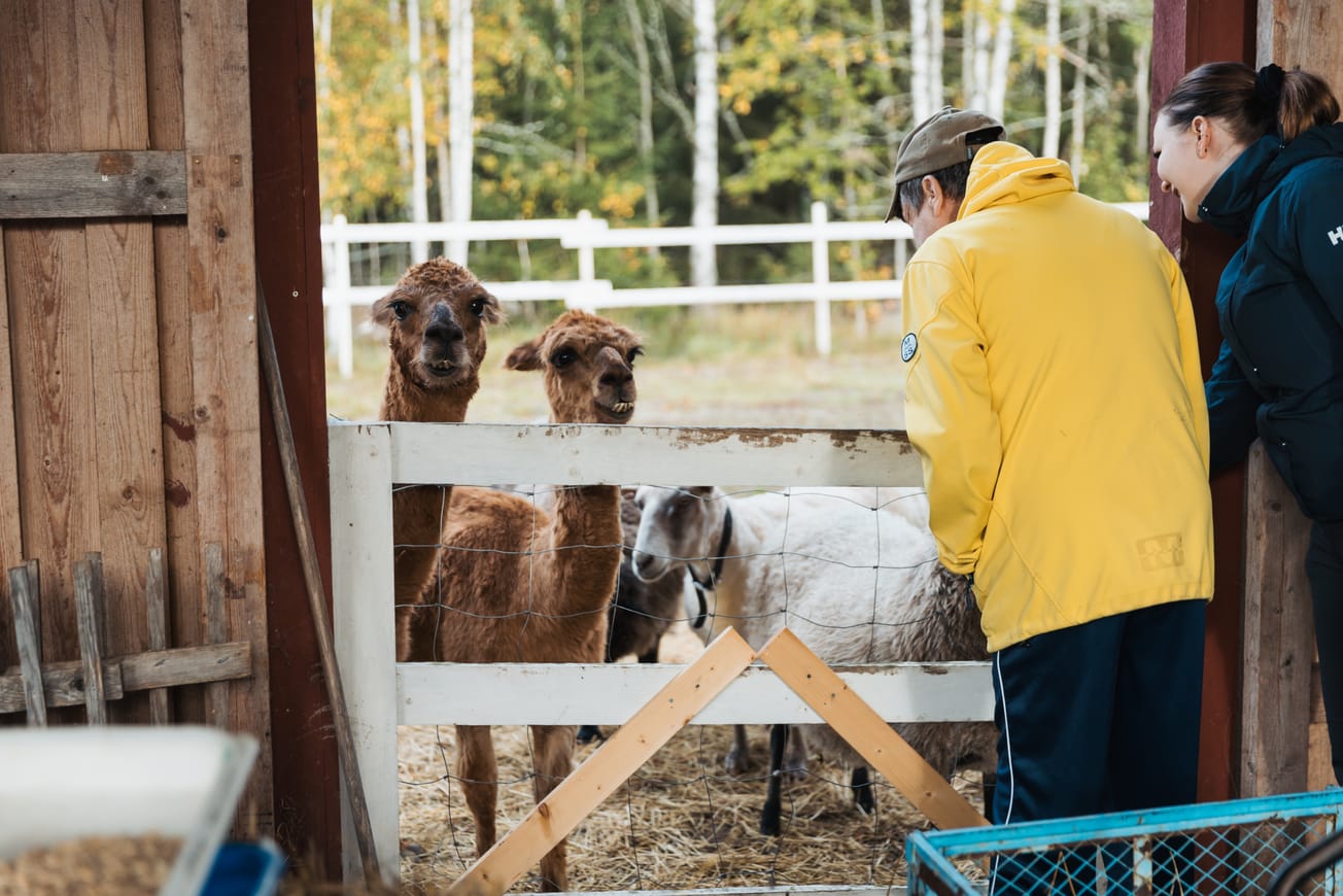 Ei yhtään samanlaista tarinaa