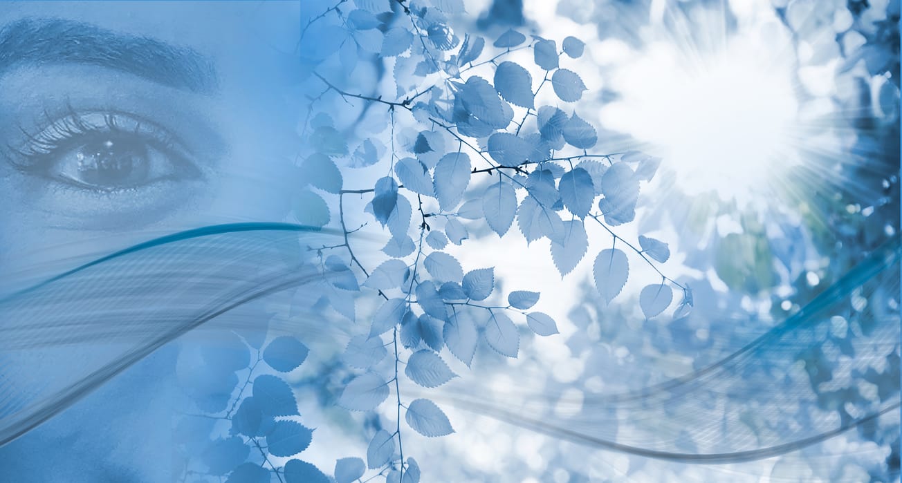 SMC panostaa kestävään kehitykseen ja liiketoiminnan jatkuvuuteen