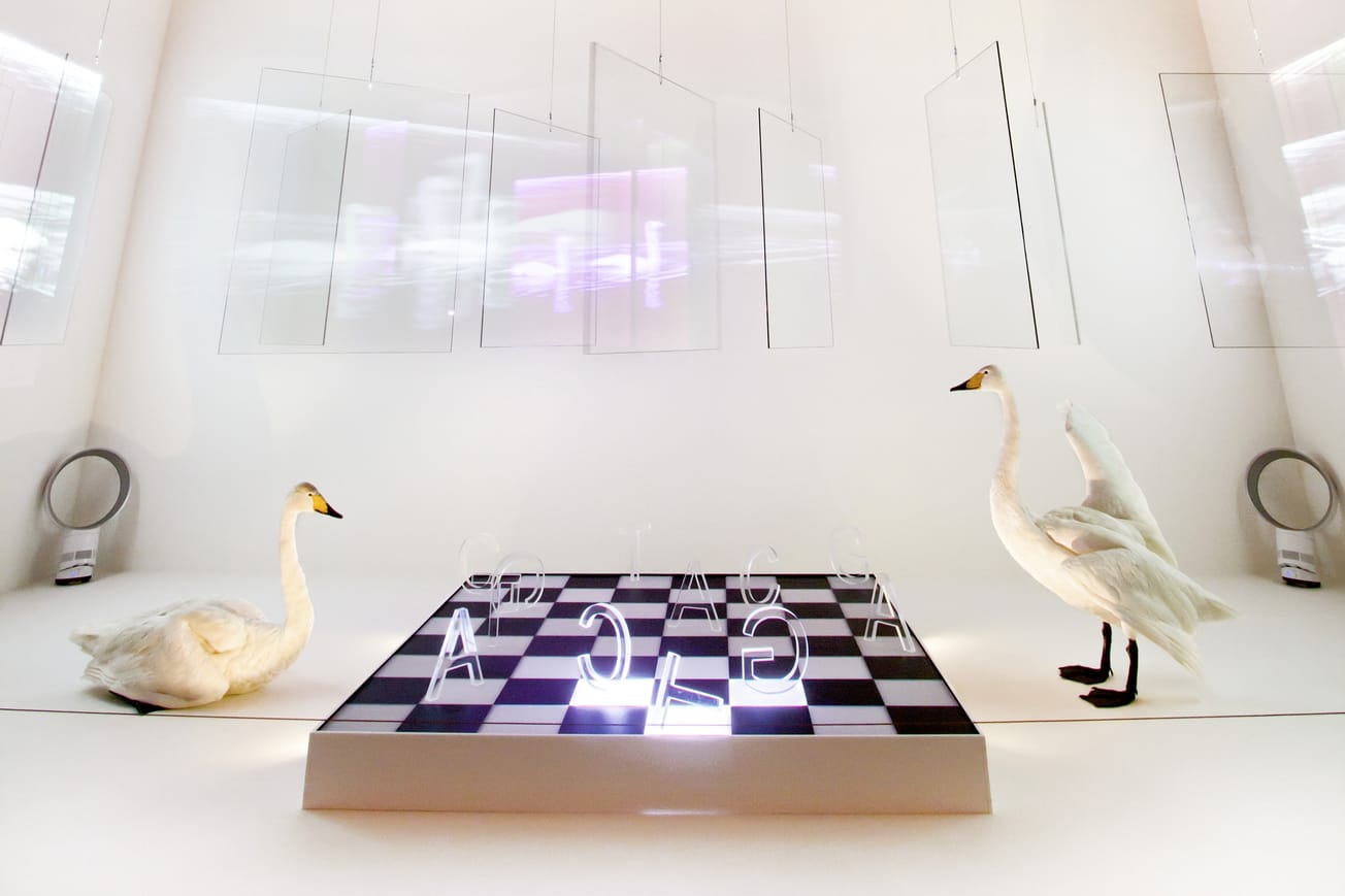 Tutustu Haltian näyttelyvuoteen 2026 – luontoelämyksiä, valokuvataidetta ja uusi päänäyttely